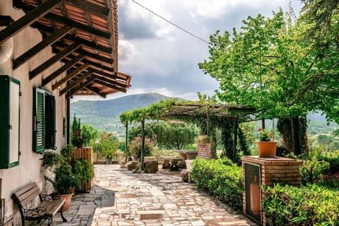 Property building, Garden, Garden view