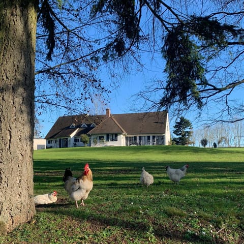 Chambre- La Charmille Bed and Breakfast in Île-de-France