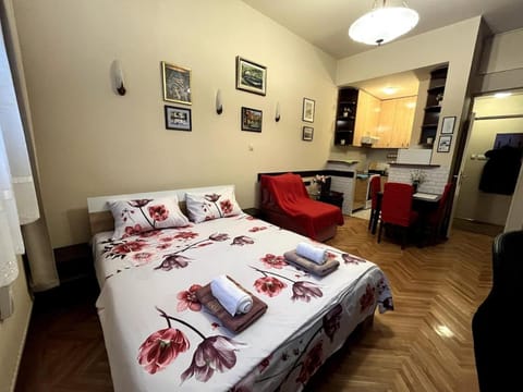 Arena view Apartment in Belgrade