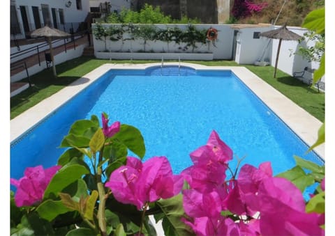 Garden, Swimming pool