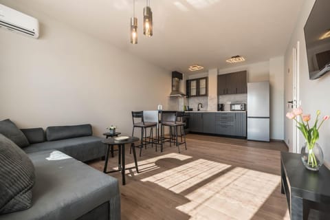 TV and multimedia, Kitchen or kitchenette, Living room, Seating area, Dining area, oven, pet friendly, stove