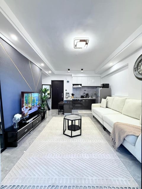 TV and multimedia, Kitchen or kitchenette, Living room, Photo of the whole room, Seating area