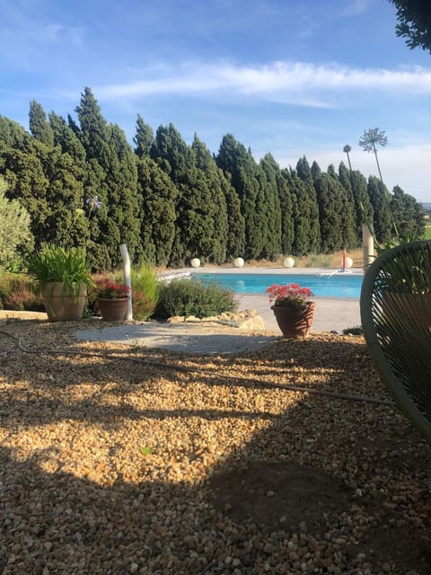 Garden, Garden, Garden view, Swimming pool, Swimming pool