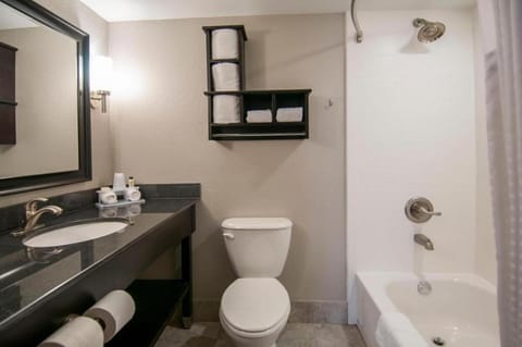 Shower, Toilet, Bathroom, Bath