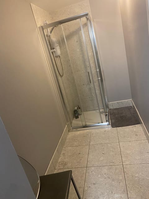 Viking Triangle Apartment in Waterford City