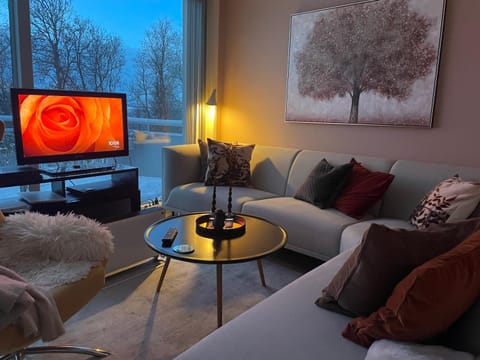 Communal lounge/ TV room, Living room