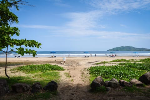 Natural landscape