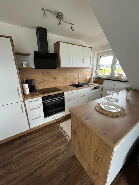 Kitchen or kitchenette, dishwasher, stove