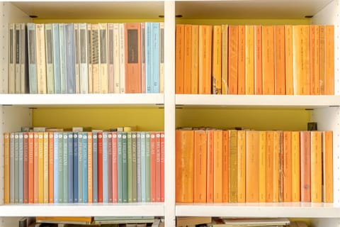 Al Garibaldi palazzo dei Rolli nel cuore della citta Apartment in Genoa