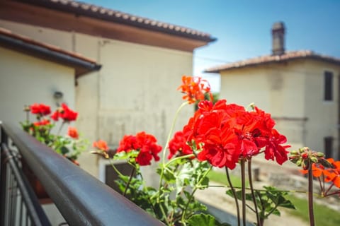 Apartment Sandra Apartment in Istria County