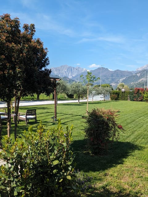 Garden, Garden, Garden view, Mountain view