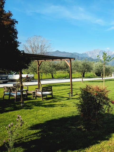 Day, Garden, Garden, Garden view, Mountain view