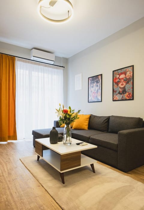 Living room, Seating area, air conditioner