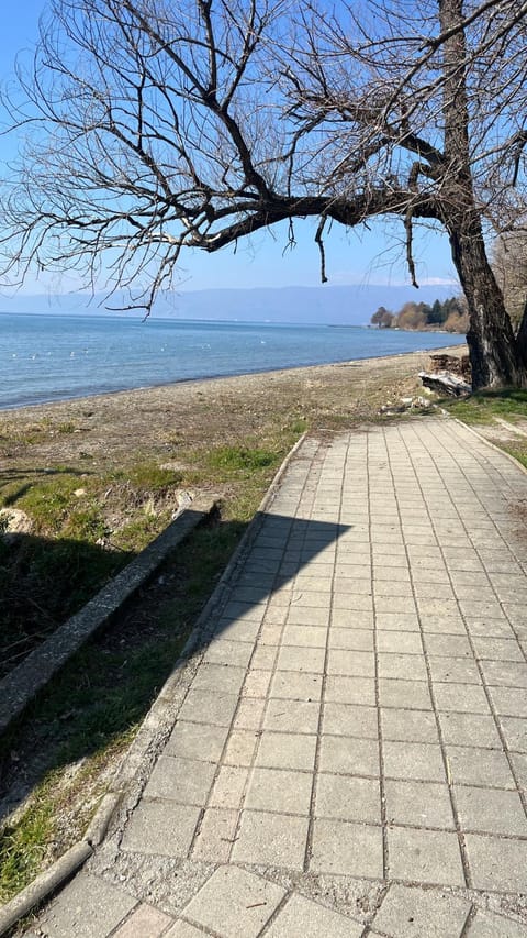 Apartment Voska Apartment in Ohrid