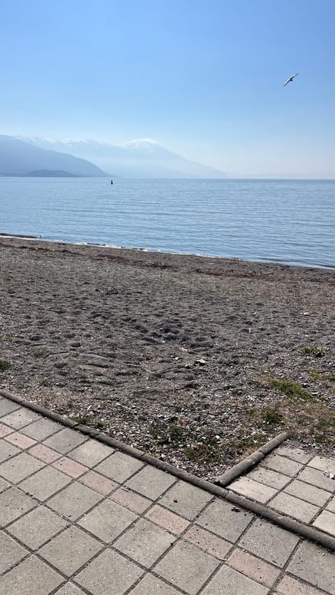 Apartment Voska Apartment in Ohrid