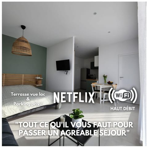 Studio lumineux avec grande terrasse et vue lac, Parking privé Apartment in Haute-Savoie