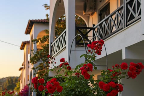 Property building, Natural landscape, Garden, Balcony/Terrace