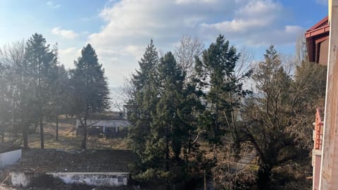 Lake 50 mt Apartment in Ohrid