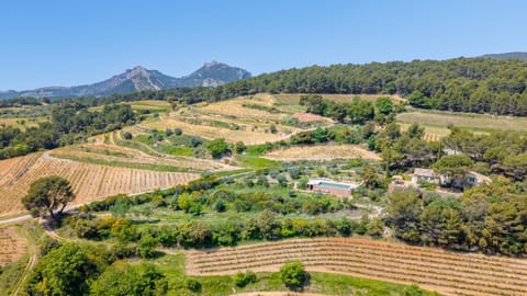 Bird's eye view, View (from property/room)