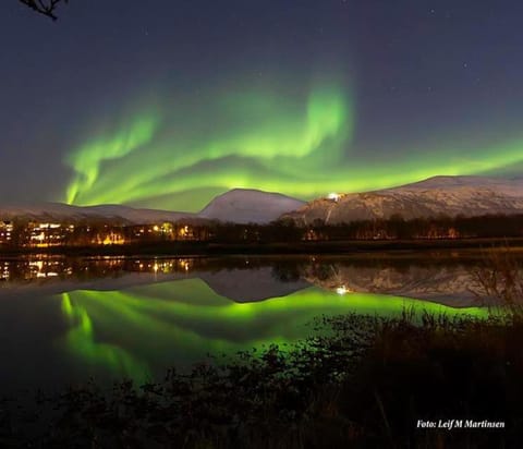 Studio newly renovated with separate entrance Apartment in Tromso