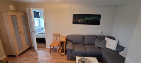 Studio newly renovated with separate entrance Apartment in Tromso