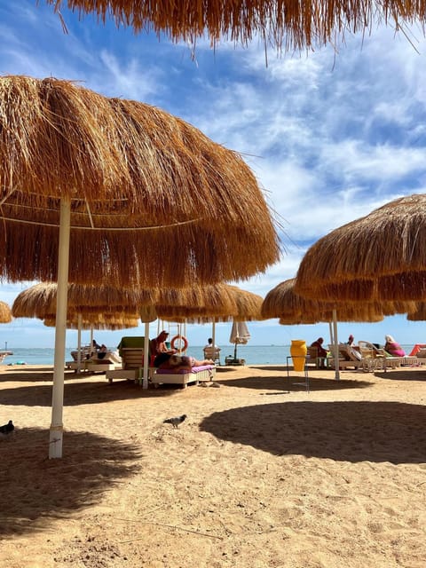 Natural landscape, Beach, Sea view, sunbed