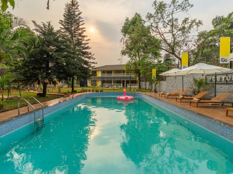 Natural landscape, Pool view, Swimming pool, Swimming pool, sunbed