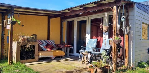 Forest Bubble House in South Holland (province)