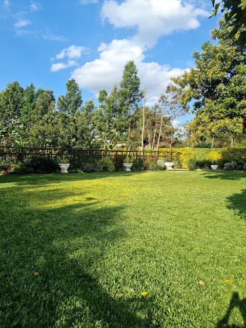 Garden, Garden, Garden view