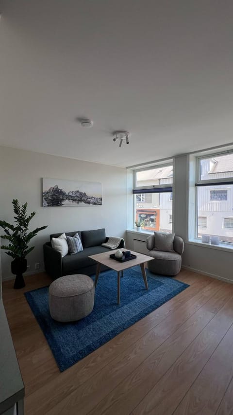 Apartment Elisabeth at Fiskekrogen Apartment in Lofoten