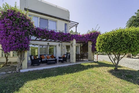 Patio, Garden view