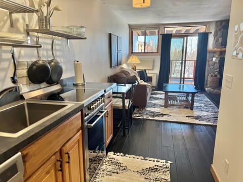 Lake View Ski in Ski out Lutsen Mtn Pets Welcome House in Lutsen