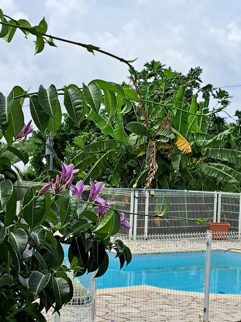 Day, Natural landscape, Garden view, Pool view, Swimming pool