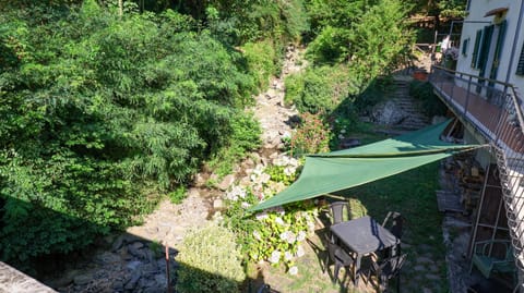 Natural landscape, Garden, Garden view