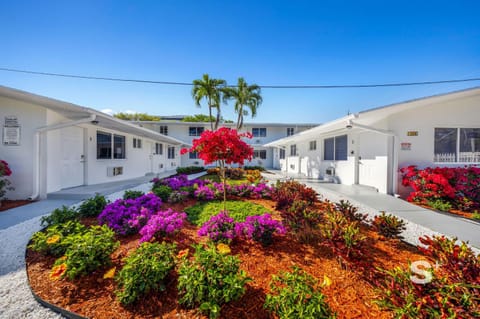 Property building, Garden view