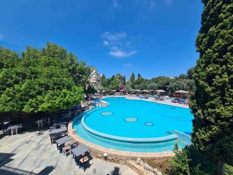 Garden, Swimming pool, sunbed