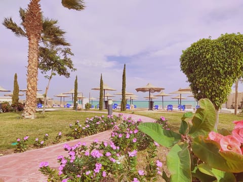 Garden, Garden view, Sea view