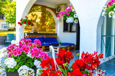 Summer, Garden, Balcony/Terrace