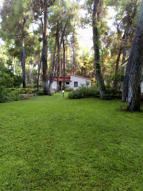 Villa Anty Villa in Halkidiki