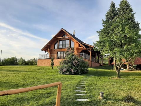 Property building, Day, Garden
