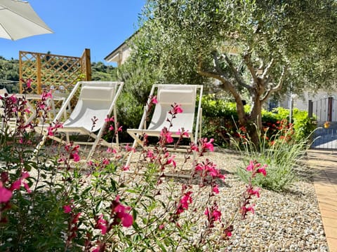 Garden, Garden view, sunbed