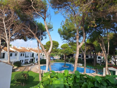 Garden, Garden, Swimming pool, Swimming pool