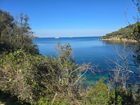 Day, Natural landscape, Mountain view