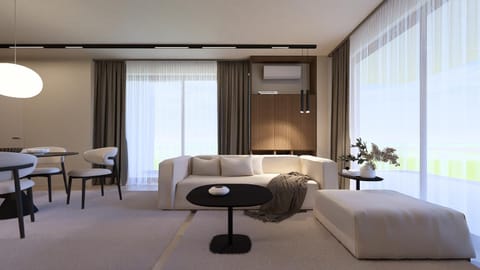 Living room, Photo of the whole room, Seating area, air conditioner