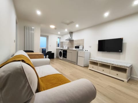 Communal lounge/ TV room, TV and multimedia, Kitchen or kitchenette, Living room, Seating area