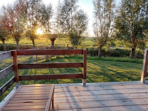 Spring, Natural landscape, Garden, Balcony/Terrace, Garden view