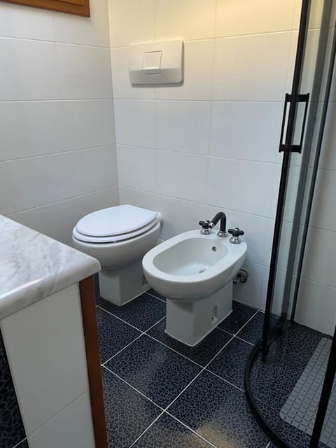 Shower, Toilet, Bathroom, bidet