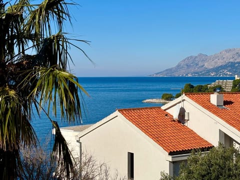Apartment Toni with sea view and balcony in Brela Apartment in Brela