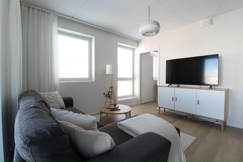 TV and multimedia, Living room, Seating area, Evening entertainment