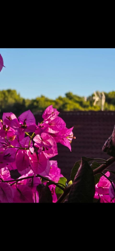 Apartman Lucija Apartment in Tisno